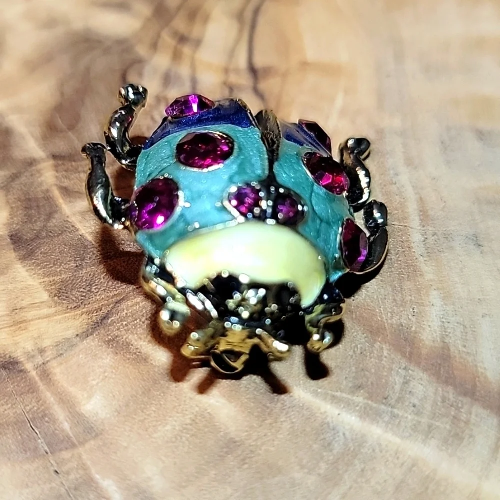 NEW 🐞 Rainbow Colored Beatle Lady Bug Womens Pin Brooch Red Rhinstone Gold Tone